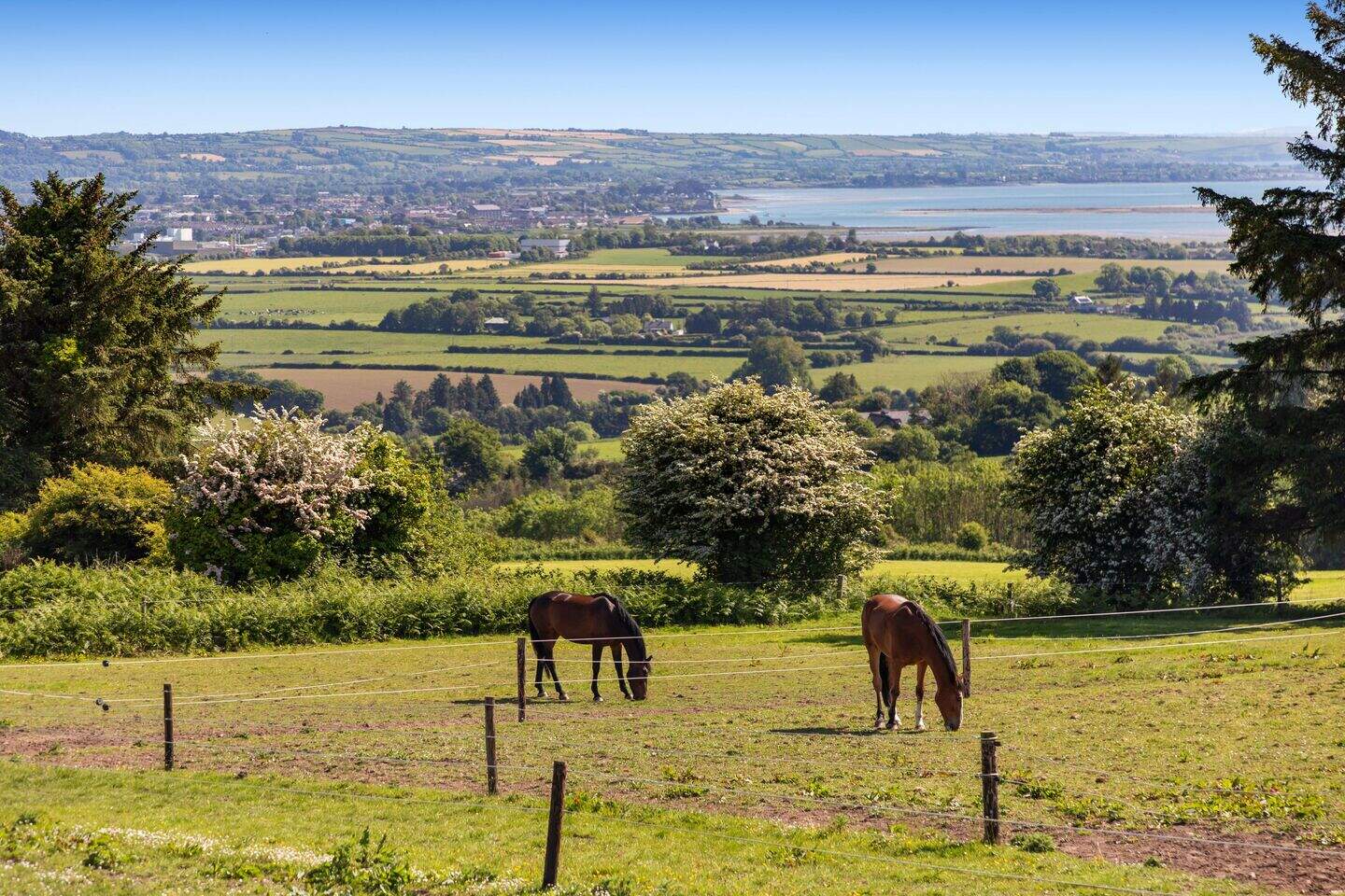 Cool coastal residence in Waterford features cinema, paddocks and ...